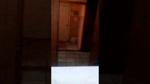 Нижний  ломов!