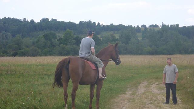 Первый раз на лошади. / First time on a horse. смотреть онлайн