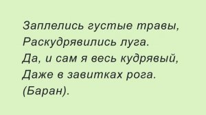 Познавательные загадки для детей 5- 6 лет.