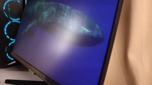 Samsung M5 IPS Smart Monitor 24" | Streaming TV w/ Remote Control