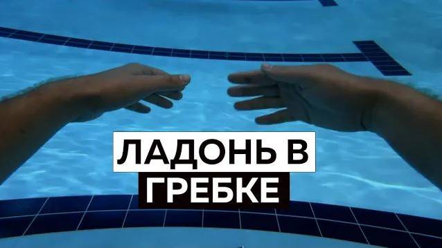 Работа кисти в плавании кролем