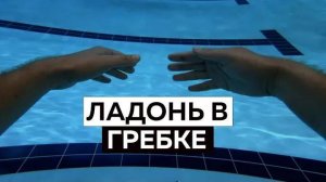 Работа кисти в плавании кролем
