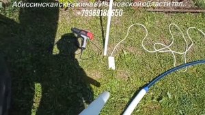 ПВД-фильтр для абиссинской скважины.