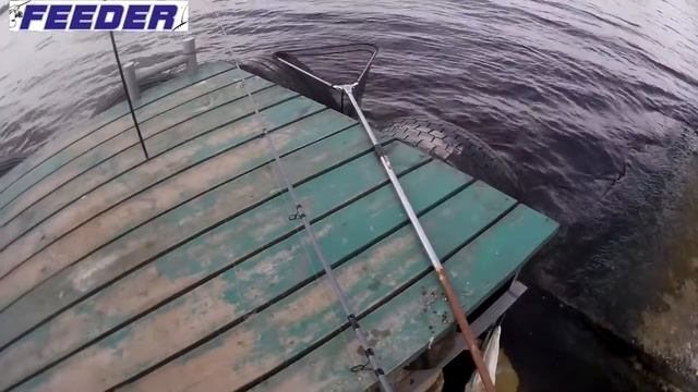 ▶После жары рыба взбесилась, зверский клев, чехони и лещей. Рыбалка на Днепре. смотреть онлайн