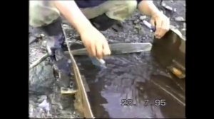 Вольное золото,  год 95