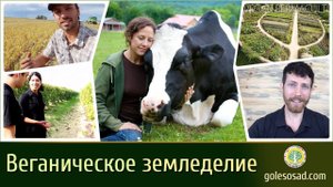 ВЕГАНИЧЕСКОЕ ЗЕМЛЕДЕЛИЕ