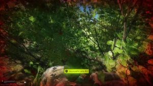 Я просто хотел пометить тигр на таможне