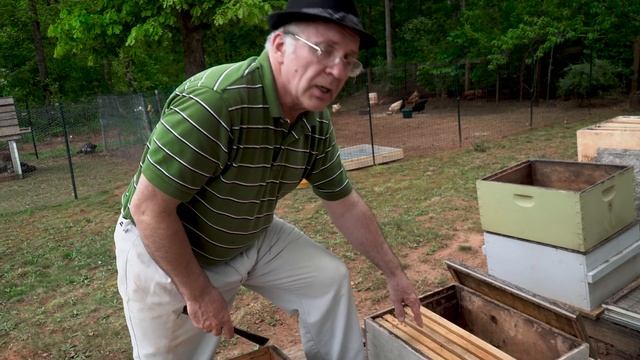 Пасека #71 Отводки -- Старый Метод | Пчеловодство для начинающих - смотреть онлайн