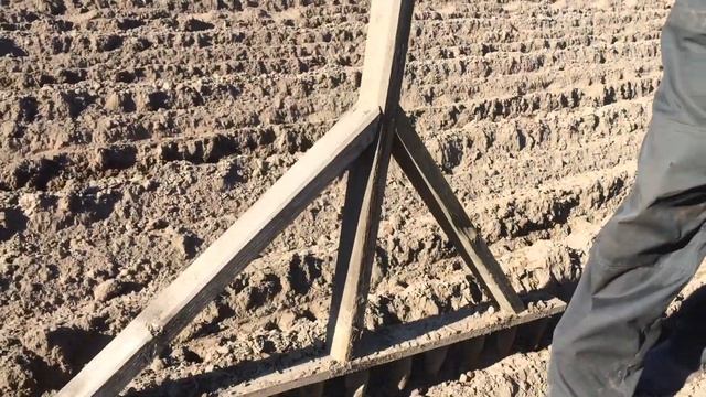 Посадка чеснока Любаша, Гуливер и местные рыночные сорта. День второй. смотреть онлайн