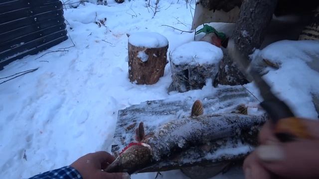 в избушку на снегоходе с рыбалкой. 28.11.23 г. смотреть онлайн