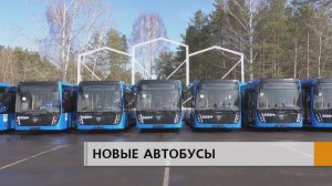 АВТОПАРК НАБЕРЕЖНЫХ ЧЕЛНОВ ПОПОЛНИЛСЯ 36 НОВЫМИ АВТОБУСАМИ "НЕФАЗ"