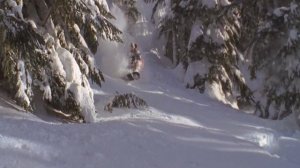 Resonance - Absinthe Films