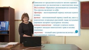 Сорные растения их классификация, биологические особенности. Меры борьбы с сорняками. #видеоуроки