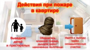 Действия при пожаре: инфографика