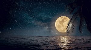 ? Успокаивающая Музыка для Сна ? Нежный шум Океана ? Быстрое Погружение в Глубокий Сон