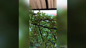 Люкс с балконом 1. Гостиница Малибу База отдыха "Прибой" в г. Саки