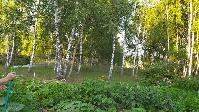 Насос для повышения давления oasis cnp 15/9 смотреть онлайн