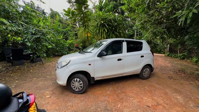 невероятная Шри-Ланка 2023 - 2024 отличия от Таиланда #шриланка #таиланд #путешествия смотреть онлайн