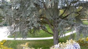 Le jardin des plantes de Coutances