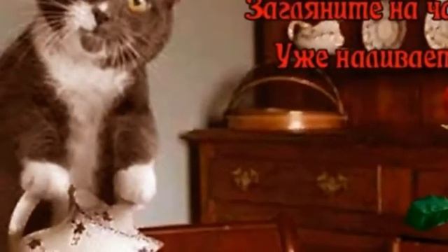 ?САМОЕ КРАСИВОЕ ВИДЕО С ВЫХОДНЫМИ!?С ПЯТНИЦЕЙ!?