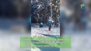 Гонки на собачьих упряжках