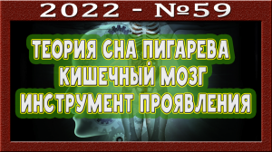 Висцеральная теория сна Пигарева. Кишечный мозг. Попытка управления внешним. Инструмент проявления.