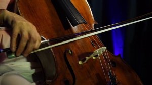 Schubert - Ave Maria (cello and piano)