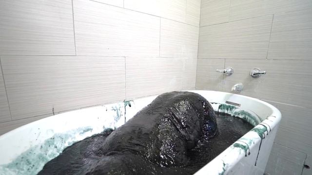GOOEY BLACK SLIME BATH CHALLENGE! смотреть онлайн
