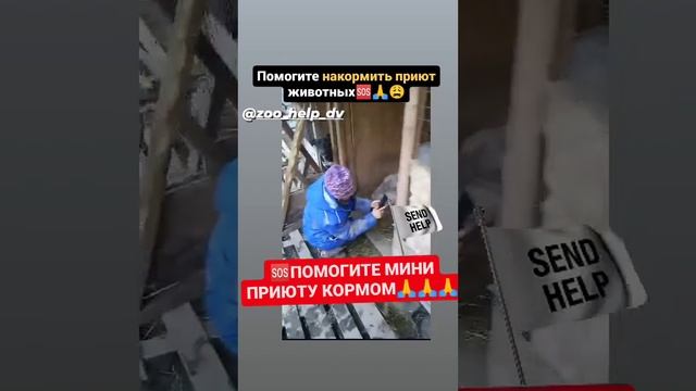 В ПРИЮТЕ закончились корма??