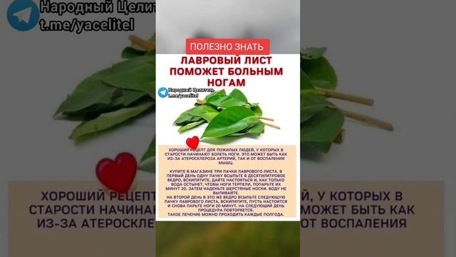 лавровый лист поможет больным ногам #медицина #здоровье #рецепт #зож #народнаямедицина #безтаблеток