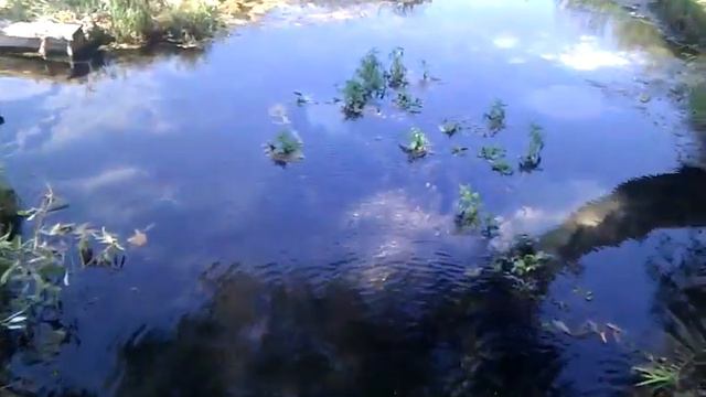 Родник в Приречном смотреть онлайн