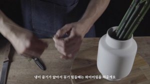 flower arranging in a vase 마디초를 이용한 꽃꽂이