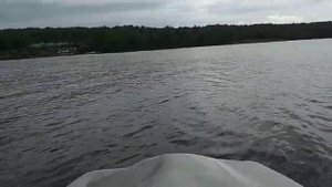 Турнир по рыбной ловли на спиннинг с лодки в Усть Шалашной.
