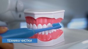 Как правильно чистить зубы электрической зубной щеткой GlisterTM Smart Sonic?