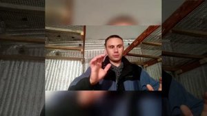 Выращивание Вешенки. Моя первая попытка.