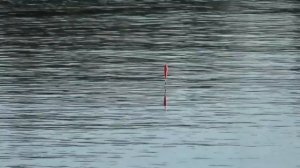 Ловля леща на стоячей воде на поплавок!