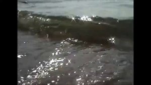 "Морские звезды" Наталья Бергер поет песню Ильи Якунина
