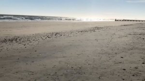 Лена Хеппи и Люба Рид: восточные танцы для Селима. Мадам S: пленник в стане врага. Lena Happy.