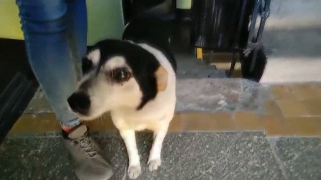 Ремонт смотреть онлайн