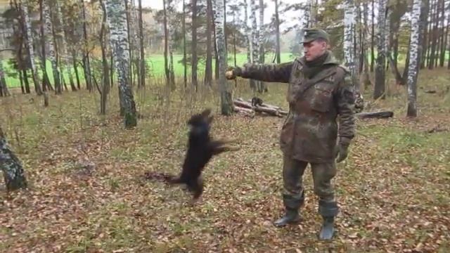 Прыжок ягда смотреть онлайн