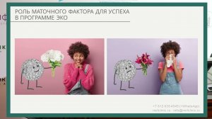 «Ответственность за успех ЭКО: эмбрион, эндометрий или… ?» рассказывает Лапина Елена Николавна