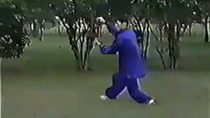 Багуачжан мастера Ван Шуцзиня: форма и применения. Демонстрирует японский ученик Усуи Макото.