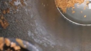 Чистка бойлера Gorenje TGR 50 S