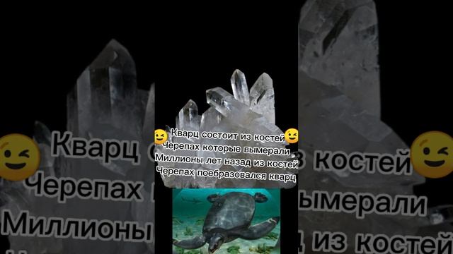 кратко из чего состоит кварц