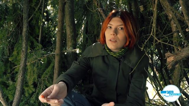 А вот шалаш смотреть онлайн