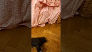пылесос огонь