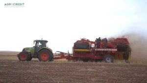 Овощеводство - выгодный бизнес? Часть 1