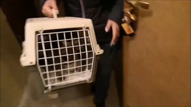 Все же смогла вытащить свой счастливый билет.