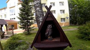 Влог. Тверь Парк Отель. На территории есть всё.