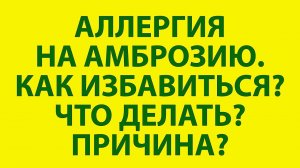 Как избавиться от аллергии на амброзию навсегда / как избавиться от аллергии / аллергия на амброзию